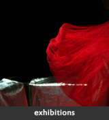 exhibitions