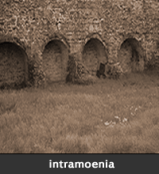 intramoenia