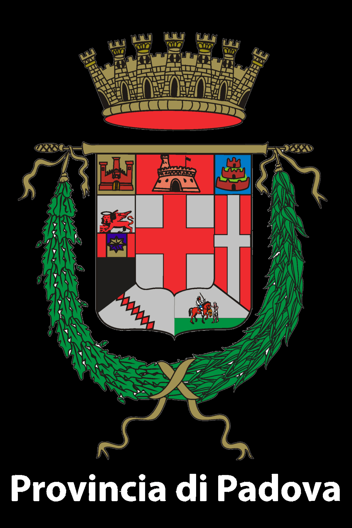 stemma nero_PROVINCIA DI PADOVa